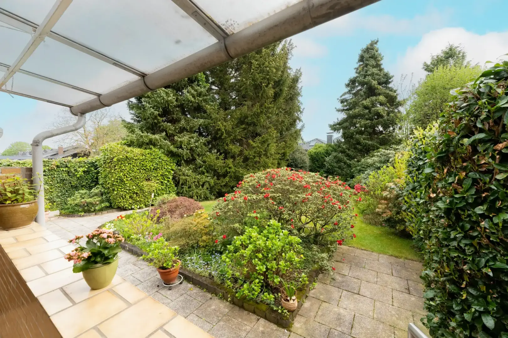 Blick in den Garten