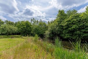Blick auf den Natursee