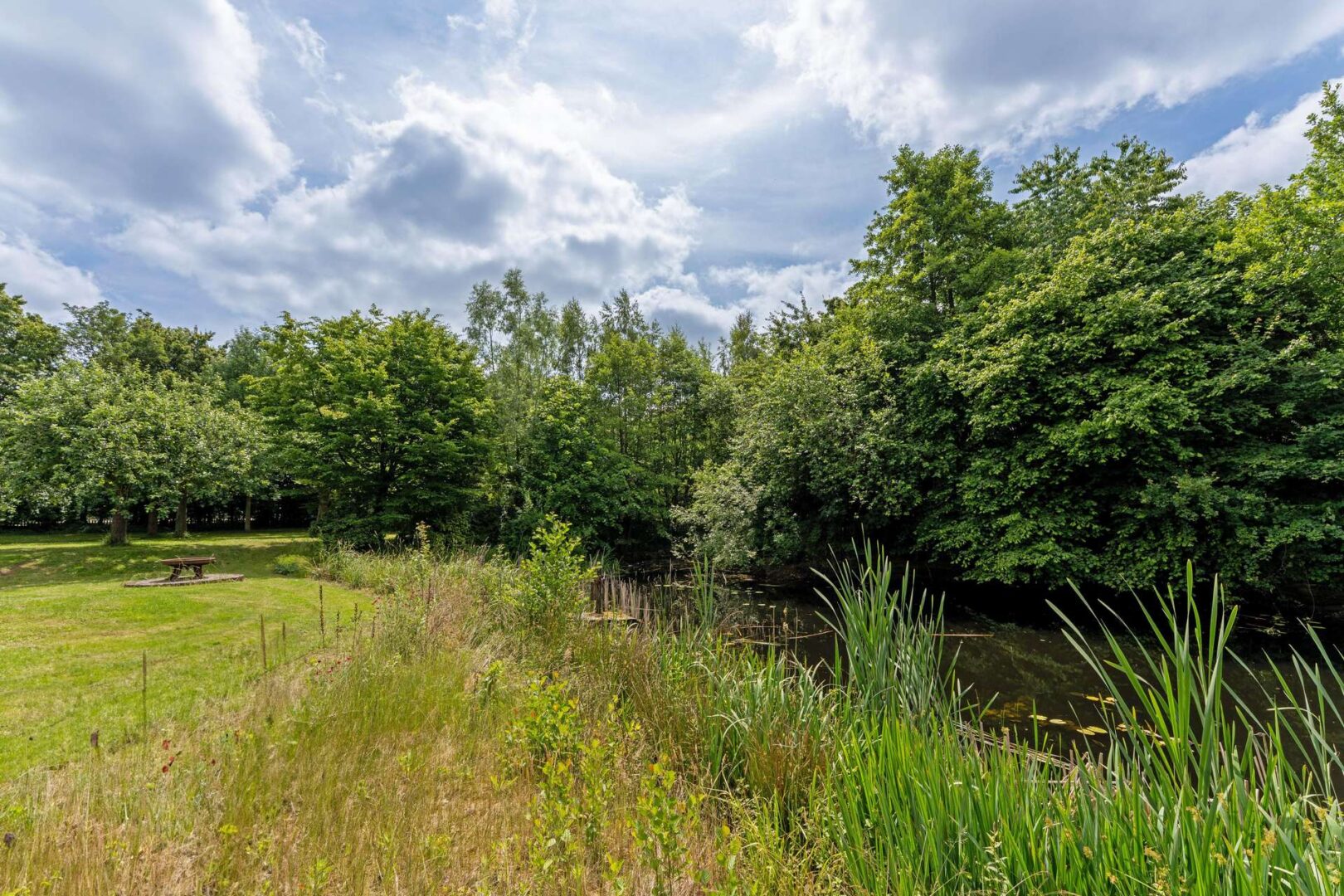 Blick auf den Natursee