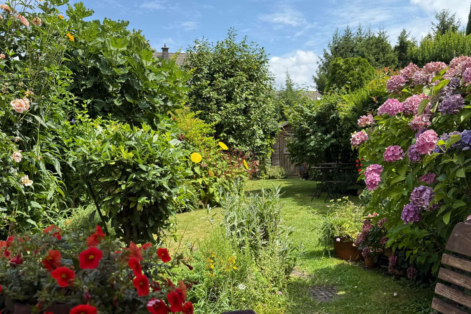 Garten