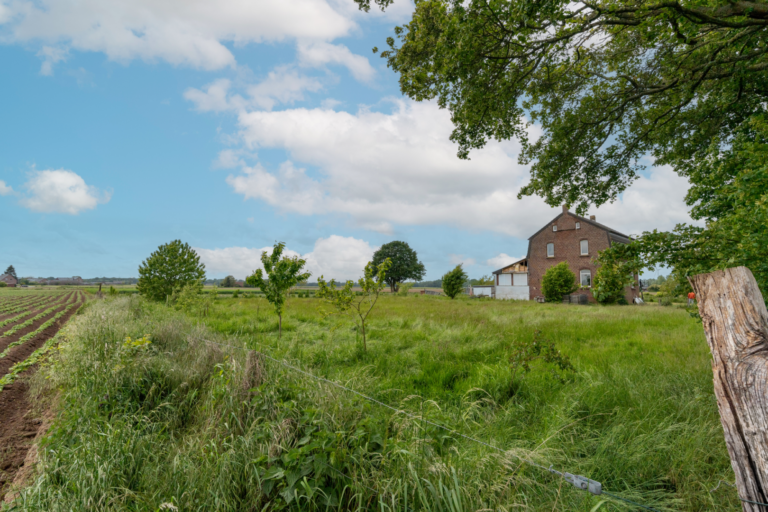 Garten mit Feldblick