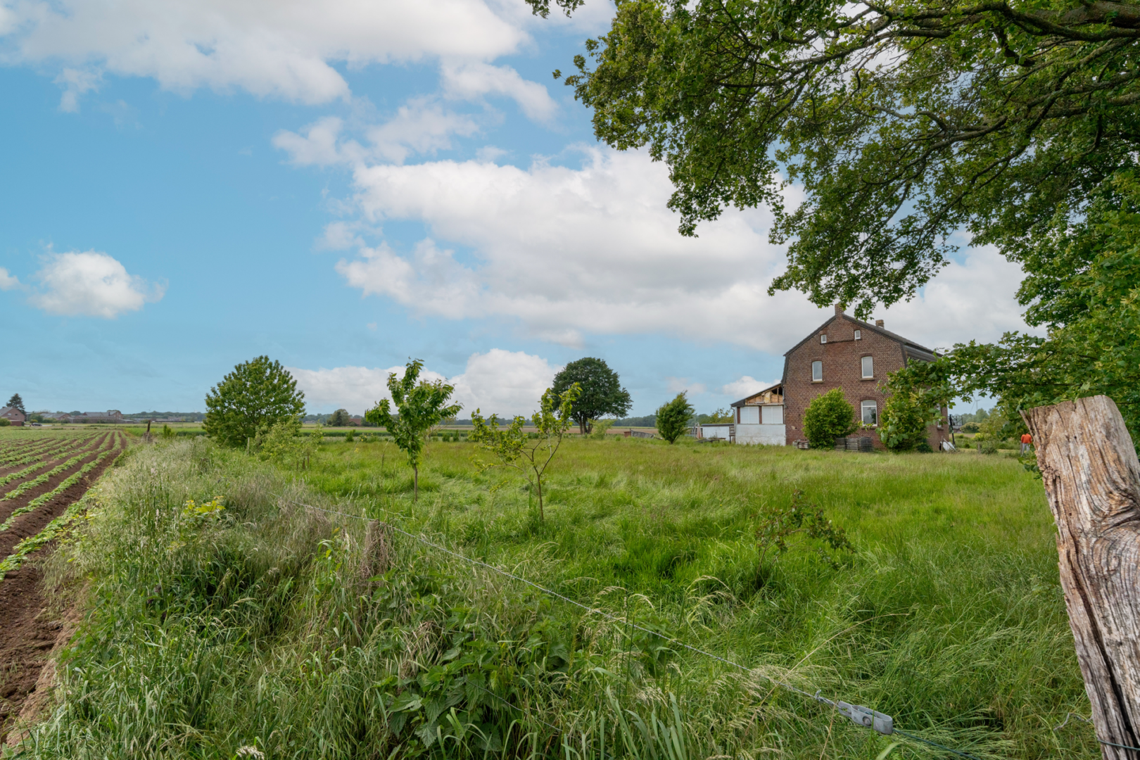 Garten mit Feldblick