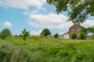 Hausansicht mit Wintergarten